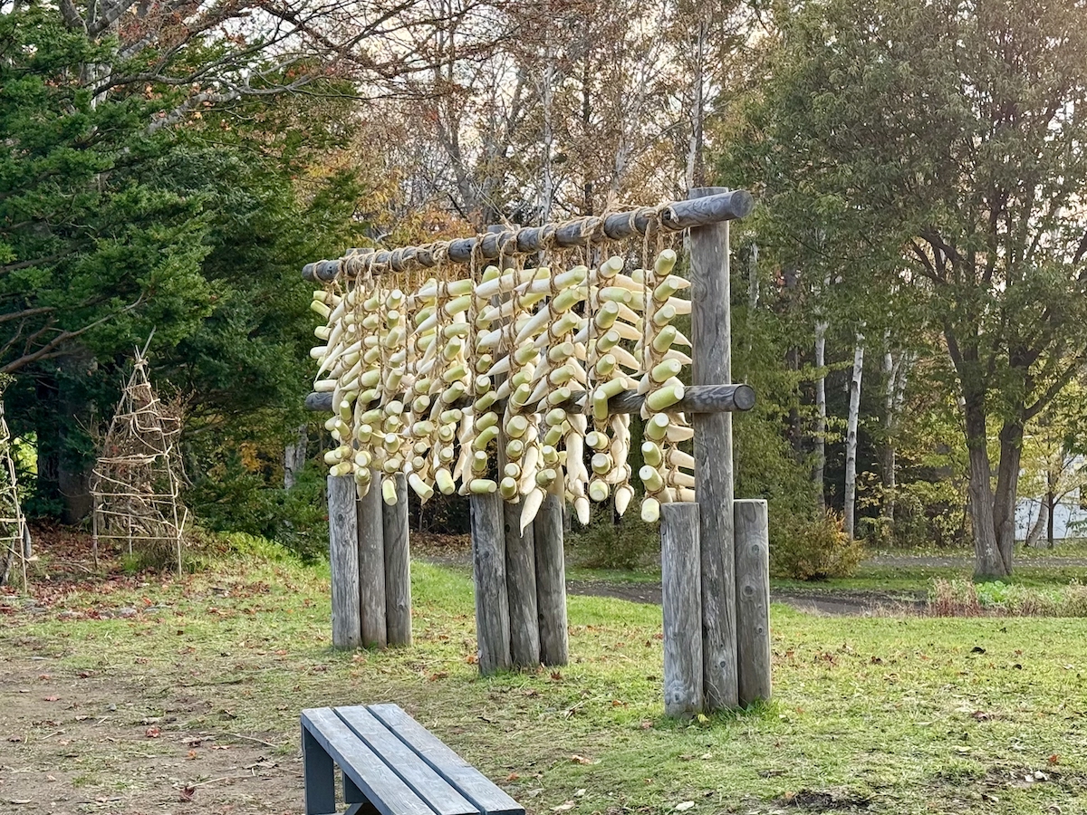 稲架（はさ）の写真
