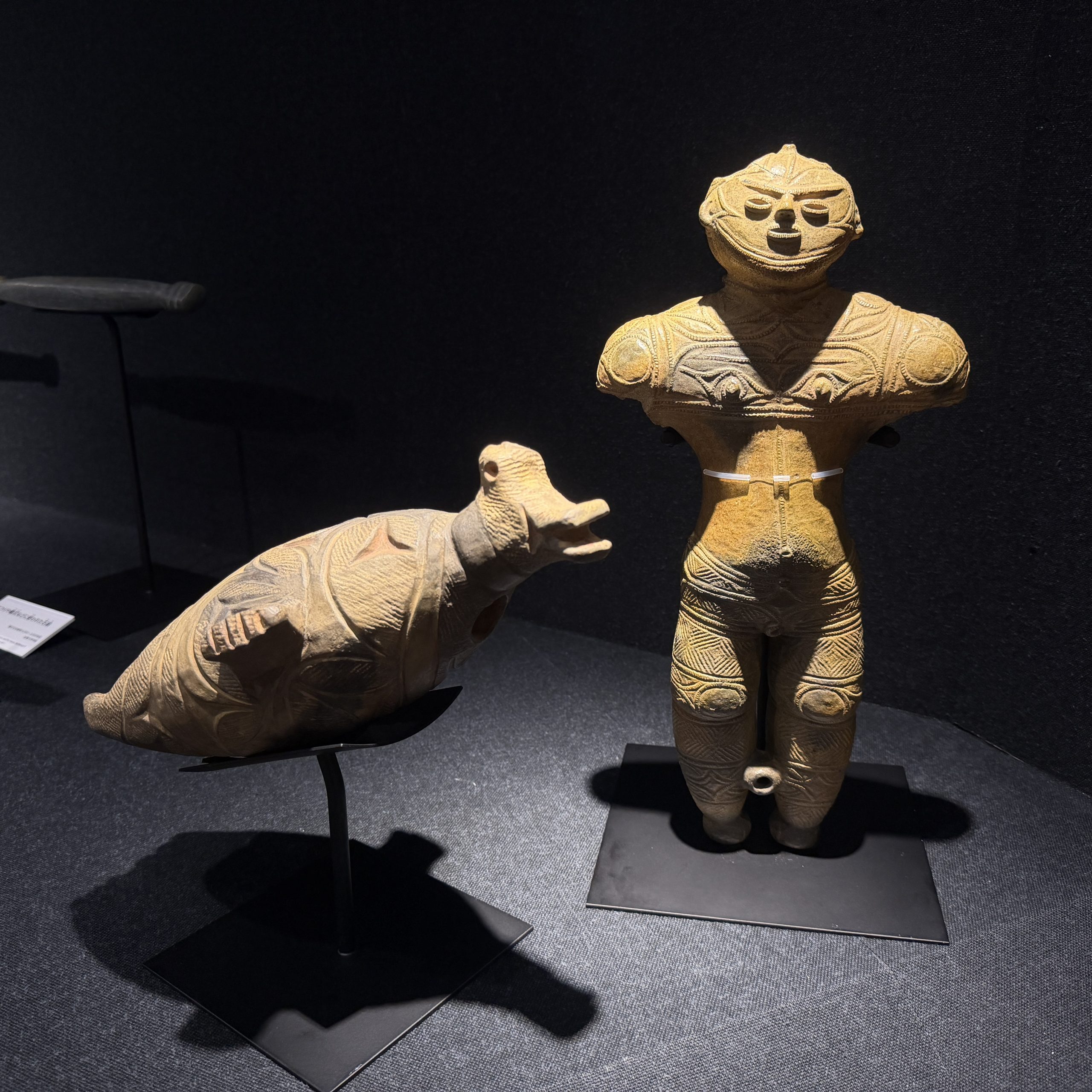 展示 – 北海道博物館